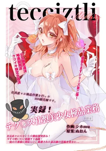 [Arumirua]SJitsuroku! Teku ￮ su-sha-sei bishōjo kenpin gyōmu[ fate grand order ) manga cover