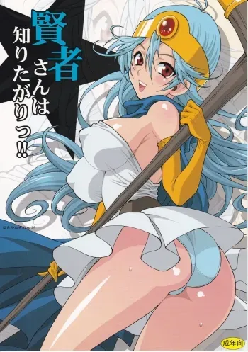Yuki Yanagi Vol.29 - The Curious Sage manga cover
