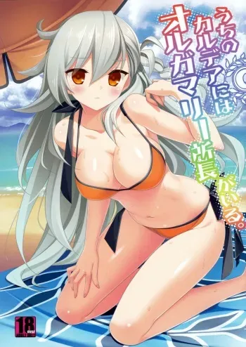 Uchi no Chaldea ni wa Olga Marie Shochou ga Iru. manga cover