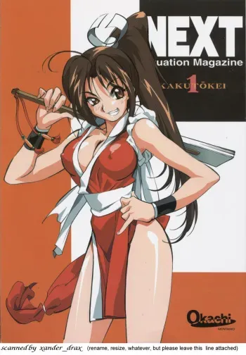(CR26) [Okachimentaiko Seisakushitsu (Various)] NEXT Situation Magazine 1 Kakutoukei (Various) manga cover