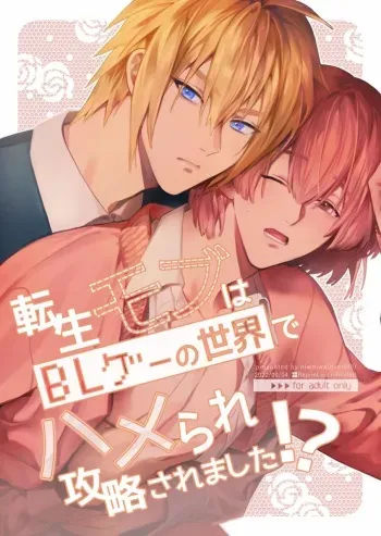 Sex with the Love Interest! But I'm an NPC! 1 manga cover