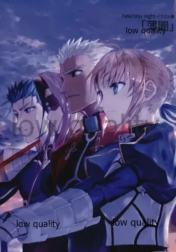 (C93) [biyonbiyondou (bob)] Fate/stay night Illust Shuu "Usuyami" (Fate/stay night) manga cover