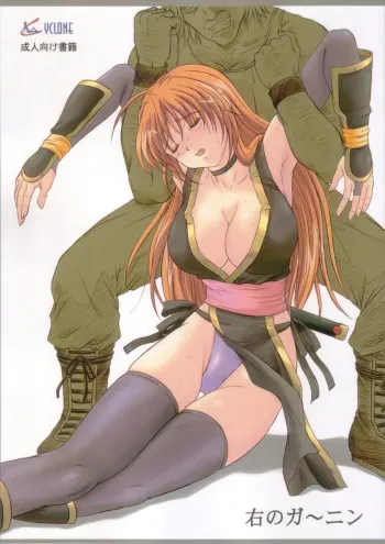 (C72) [Cyclone (Izumi Kazuya)] Migi no Ga~nin (Dead or Alive) manga cover