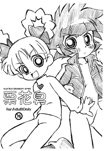 (SC34) [Eroshiku] kuriko blossom smell (Powerpuff Girls Z) manga cover