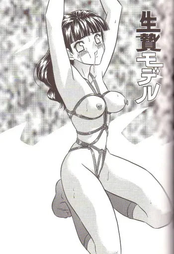 Sacrifical Model manga cover