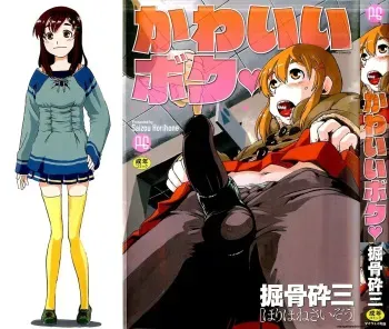 Kawaii Boku MTL manga cover