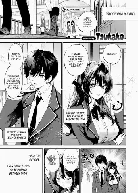 Limit Break ★ Couple!! manga cover