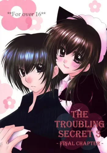 Tobikiri no Himitsu 3 <<Kanketsuhen>> | The troubling secret << Final chapter >> manga cover
