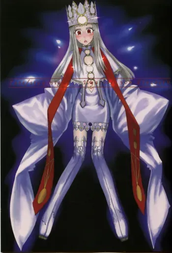 Fate/stay night llyasviel von Finzbern manga cover