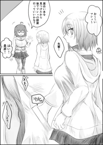 [Shounan no Tamasu] Mash ga Yanjau Hanashi (Fate/Grand Order) manga cover