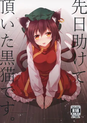 Senjitsu Tasukete Itadaita Kuroneko desu. | I'm the Black Cat You Helped Out the Other Day. manga cover