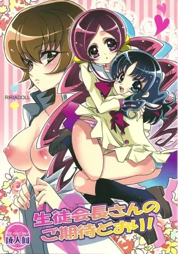 (SUPER19) [RIRIADOLL (Takewakamaru)] Seitokaichou-san no Gokitai doori! (HeartCatch PreCure!) manga cover
