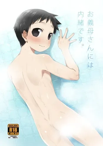 (Shota Scratch 25) [Yabure Kabure (Agemon)] Ogibo-san niwa Naisho desu. (Fullmetal Alchemist) manga cover