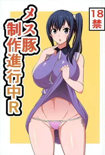 Mesu Buta Seisaku Shinkouchuu R manga cover