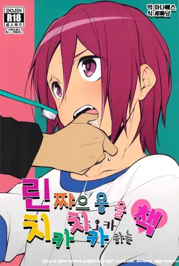 (Yarou Fes 2013 petit) [Samgyetang (Seseri)] Rin-chan o Goshigoshi Suru Hon (Free!) [Korean] [Team Dog Drip] manga cover