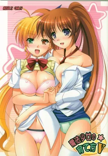 (C77) [K-Drive (Narutaki Shin)] Mahou Shoujo no Sodatekata V | How to Bring Up a Magical Girl V (Mahou Shoujo Lyrical Nanoha) [Spanish] [Eromonogatari] manga cover