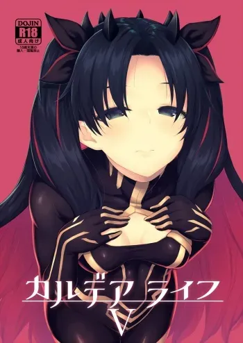 Chaldea Life V manga cover