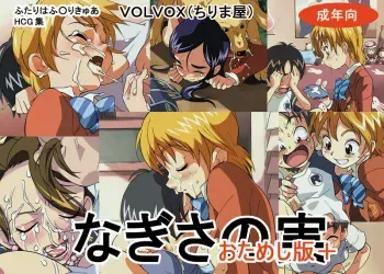 [VOLVOX (Chirimaya)] Nagisa no Mi Otameshiban + (Futari wa Precure) manga cover
