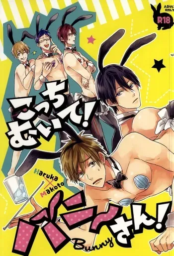(SUPER24) [Below (Napa)] Kocchi muite! Bunny-san! (Free!) manga cover