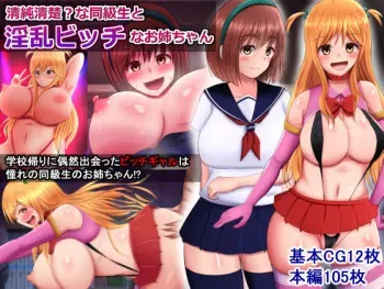 [Sazameki Dori] Seijun Seiso? na Doukyuusei to Inran Bitch na Onee-chan manga cover