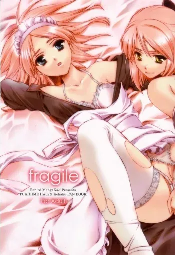 (C62) [Renai Mangaka (Naruse Hirofumi)] fragile (Tsukihime) manga cover