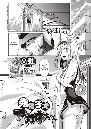 Hatsujou Koinu Akane-chan manga cover