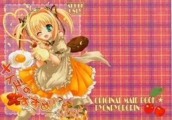 (C78) [Pyonpyororin (Akoko.)] Maid no Susume!? ～Ikkagetsume nano desu yo. no ken～ manga cover
