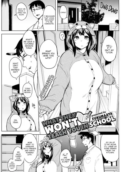 What They Won't Teach You in School manga cover