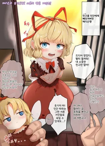 [Hiyoko Set] Medicine Kankaku Kyouyuu de Otona no Itazura Daisakusen!! | 메디슨과 감각공유로 어른의 장난 대작전 (Touhou Project) [Korean] manga cover