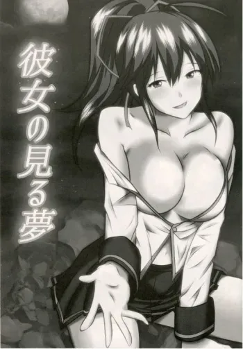 BlazBlue Ragna x Celica Hentai Doujinshi by Fisel from REVELLIUS team(English) manga cover