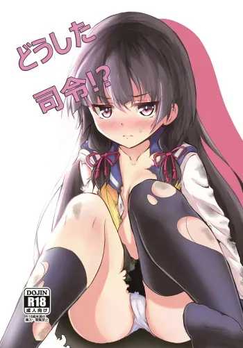Doushita Shirei!? | What's Wrong, Admiral?! manga cover