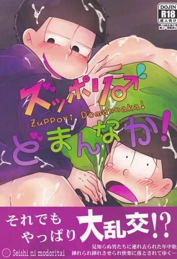 [Seishi ni modoritai (Rohō Sakuya)] Zuppori ♂ Domannaka! (Osomatsu-San) manga cover