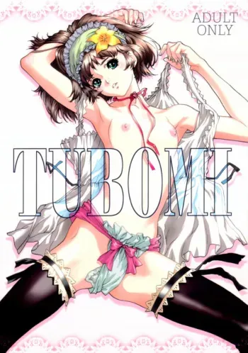 (C62) [STUDIO PAL (Hazuki Kaoru)] TUBOMI [Incomplete] manga cover