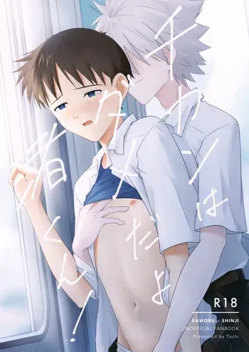 (Kimi to no Rendan 20) [Nichigetsu Seishin (Tachi)] Chikan wa Dame da yo Nagisa-kun! (Neon Genesis Evangelion) manga cover
