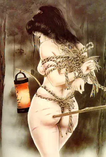 Shibari (asian bondage) manga cover