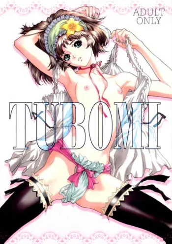 (C62) [STUDIO PAL (Hazuki Kaoru)] TUBOMI [Incomplete] manga cover