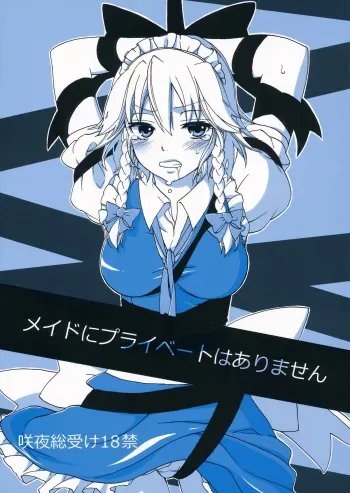 Maid ni Private wa Arimasen | Maids Have No Privacy manga cover