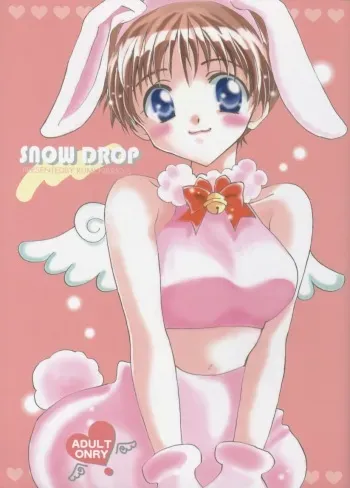 (C55) [Gyaroppu Daina, Kusse (Narita Rumi, Senami Rio)] SNOW DROP (Neon Genesis Evangelion) manga cover