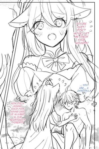 Alternative Universe - Abandoned Puppet Warlock and Chinchilla Maiden manga cover