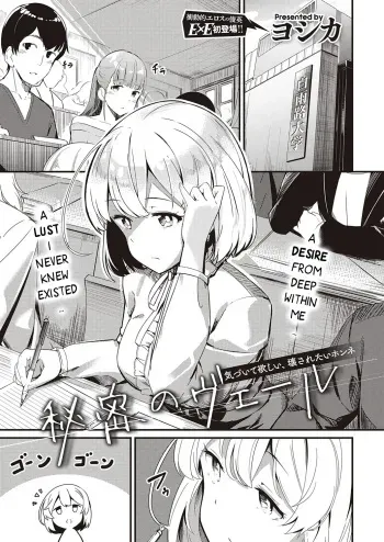 Himitsu no Veil / Veil of Secret manga cover