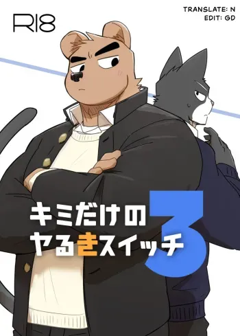 Kimi dake no Yaruki Switch 3 manga cover