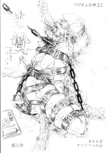 (C67) [Sumomo Dou (Sumomo EX)] Vivian Bessatsu 22 - Ikenie Futanari Version manga cover