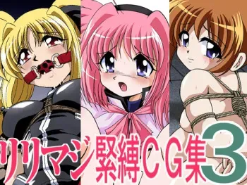 [Thirty Saver Street] Lyri Maji Kinbaku CG Shuu 3 (Mahou Shoujo Lyrical Nanoha) manga cover