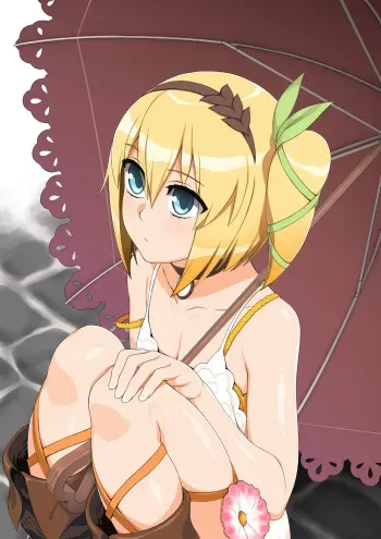 [Butakoma 300g] Edna (Tales of Zestiria) manga cover