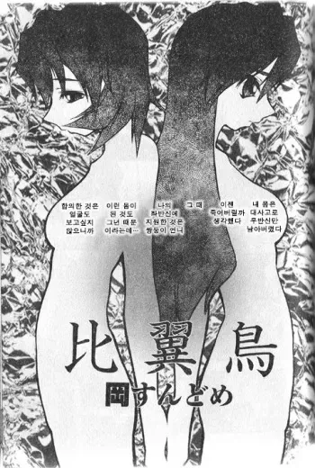 [Oka Sundome] Hiyoku dori [Korean] manga cover
