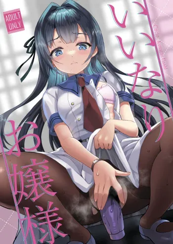 (C101) [Kuma-tan Flash! (Kumao Mofumofu)] Iinari Ojou-sama [Digital] manga cover