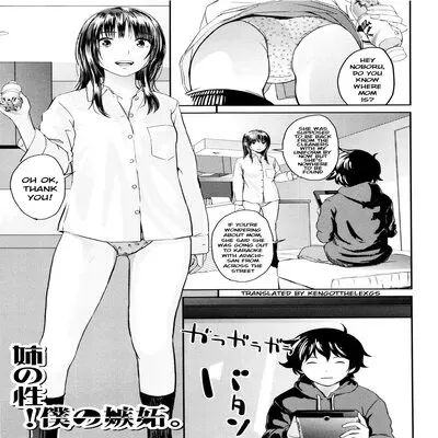 My Sister's Sex! My Jealousy [Original] manga cover