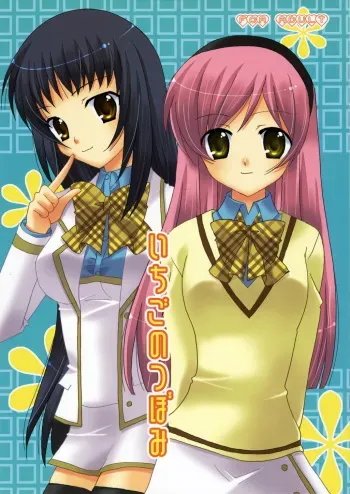 (C71) [ANGELBOX (Hazuki Ruka)] Ichigo no Tsubomi (Strawberry Panic!) [English] [SnY] manga cover