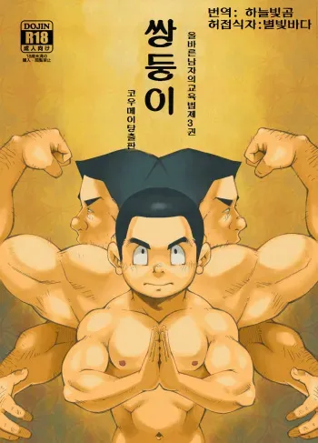 (Yarou Fes 2012 Oosaka Aki no Jin) [KOWMEIISM (Kasai Kowmei)] Tadashii Danshi no Kyouren Hou (San) Sousaiji | 올바른 남자의 교육법 3 쌍둥이 [Korean] [Digital] manga cover
