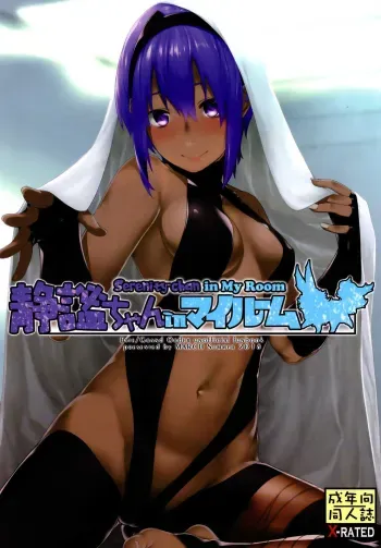 Seihitsuchan in My Room manga cover